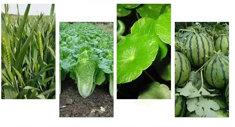 plant growth regulators