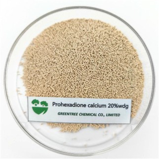 Ρυθμιστής ανάπτυξης φυτών 20 τοις εκατό Wdg Prohexadione Calcium