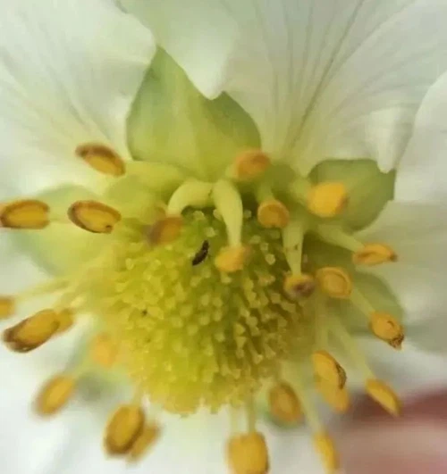 info-717-762 info-717-762